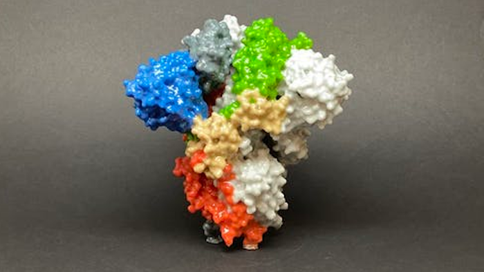 The new mRNA vaccine provides the body with the instructions to manufacture the SARS-CoV-2 spike protein. This protein gives the immune system a preview of the virus.