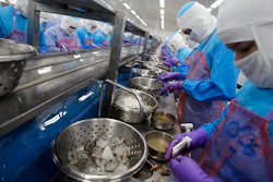 In this Aug. 23, 2016, file photo, workers peel shrimp at the Thai Union factory in Samut Sakhon, Thailand.