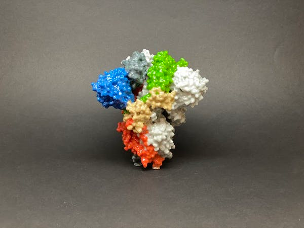 The new mRNA vaccine provides the body with the instructions to manufacture the SARS-CoV-2 spike protein. This protein gives the immune system a preview of the virus.