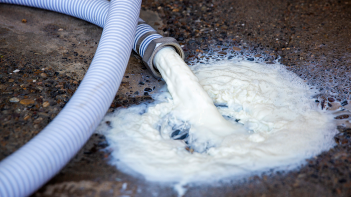 Milk pours out of the bulk tank and into the drain Wednesday, April 8, 2020, at the Azevedo Family Dairy in Buhl, Idaho. With restaurants across the country closed, milk processors have lost a significant chunk of their market, leaving dairy farmers with no one to take their milk. Owner Richard Azevedo says 4,100 gallons of milk were dumped that morning. 'It's hard to watch that go down the drain,' he says.