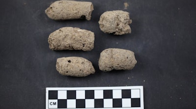 H35 (Ash pit number 35) coprolites from Xiaosungang archaeological site, Anhui Province, China.