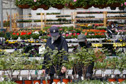 Shoppers look at plants at a nursery in Macomb, Mich., Monday, April 27, 2020.