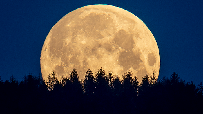 The full moon sets behind trees in the Taunus region near Frankfurt, Germany, May 7, 2020.