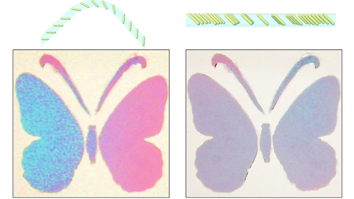 New material with programmable colorimetric responses can behave more like animal skins.