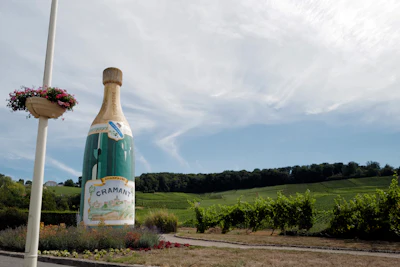 A Champagne advert is displayed at the entrance of the village in Avize, in the Champagne region east of Paris, on July 28.
