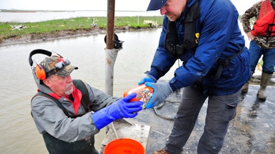 In this March 3, 2019 file photo, provided by the National Transportation Safety Board, NTSB investigators and member of the recovery team retrieve the flight data recorder of the Atlas Air Flight 3591, a Boeing 767 cargo jet that crashed in the muddy marshland of Trinity Bay, east of Houston. Investigators say a pilot's errors and disorientation were primary factors in causing the 2019 crash in Texas.