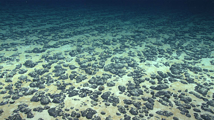 Experimental Industry Rushes To Mine Ocean Floor Industrial Equipment News Ien