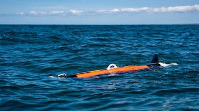 The Riptide UUV-12 from BAE Systems.