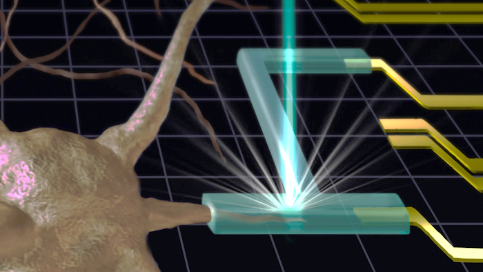 Illustration of a prospective biocompatible interface shows that hydrogels (green tubing), which can be generated by an electron or X-ray beam 3D printing process, act as artificial synapses or junctions, connecting neurons (brown) to electrodes (yellow).