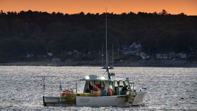 The crew on a lobster boat hauls traps at sunrise on Sept. 21 off Portland, Maine.