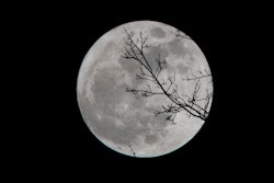 Photo 1514944152559 A103040c7f16