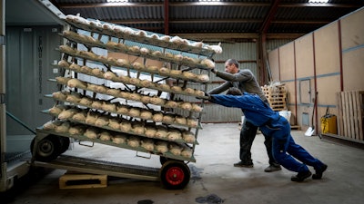 In this Friday Nov. 6, 2020 file photo, Henrik Nordgaard Hansen and Ann-Mona Kulsoe Larsen kill their herd, which consists of 3000 mother minks and their cubs, on their farm near Naestved, Denmark.