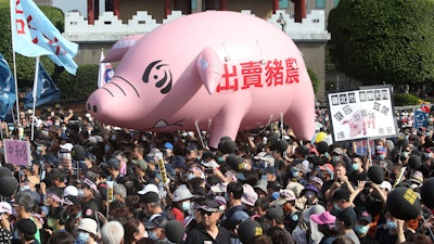 People hold a pig model with a slogan 'Betraying pig farmers' during a protest in Taipei, Taiwan on Sunday, Nov. 22.