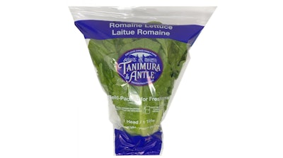 Single Head Romaine 2020