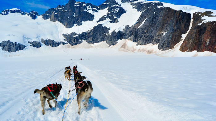 Dog Sled Iditarod I Stock 178973447
