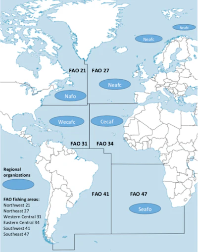 FAO has identified six production areas in the Atlantic Ocean.