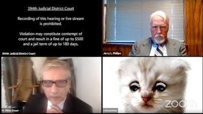 Image from video of a hearing from the 394th Judicial District Court of Texas.