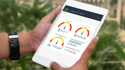 Integrated Room Automation helps cannabis cultivators improve environmental monitoring and control.