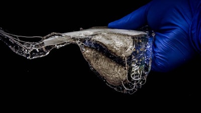 Closeup of the stingray swimmer.