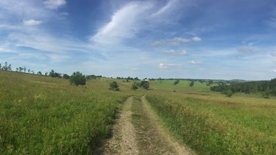 A rewilded area in Germany, near Dresden.