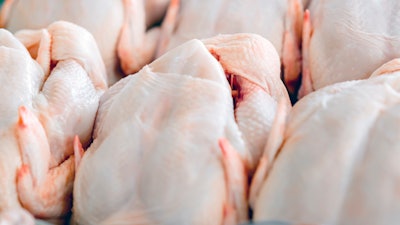 Chicken I Stock 497680194