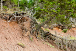 The mudslides stranded more than 100 people in their vehicles overnight and caused extensive damage that closed Interstate 70.