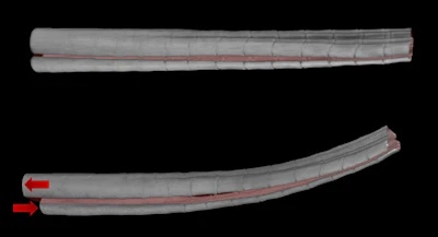 The segmented nature of fish fin rays allows them to be easily morphed by pulling at the bottom of the ray.