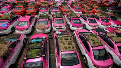 Miniature gardens are planted on the rooftops of unused taxis parked in Bangkok, Thailand, Thursday, Sept. 16, 2021.