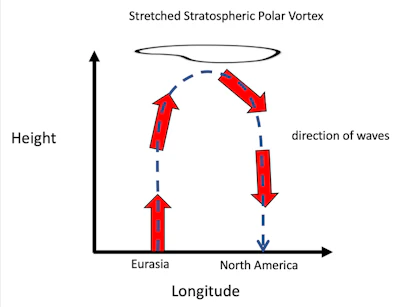 A schematic shows wave activity reflecting off the stretched stratospheric polar vortex.