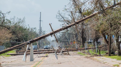 Telephone poles toppled over after Hurricane Laura.