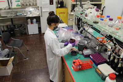 Jenna Fryer, an Oregon State University graduate student, processing grape samples before analyzing the grapes for smoke compounds.