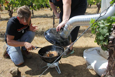 Elizabeth Tomasino, an associate professor of enology, and Cole Cerrato, a doctoral student in her lab, study the impact of smoke exposure on grapes at Oregon State University's Woodhall Vineyard.