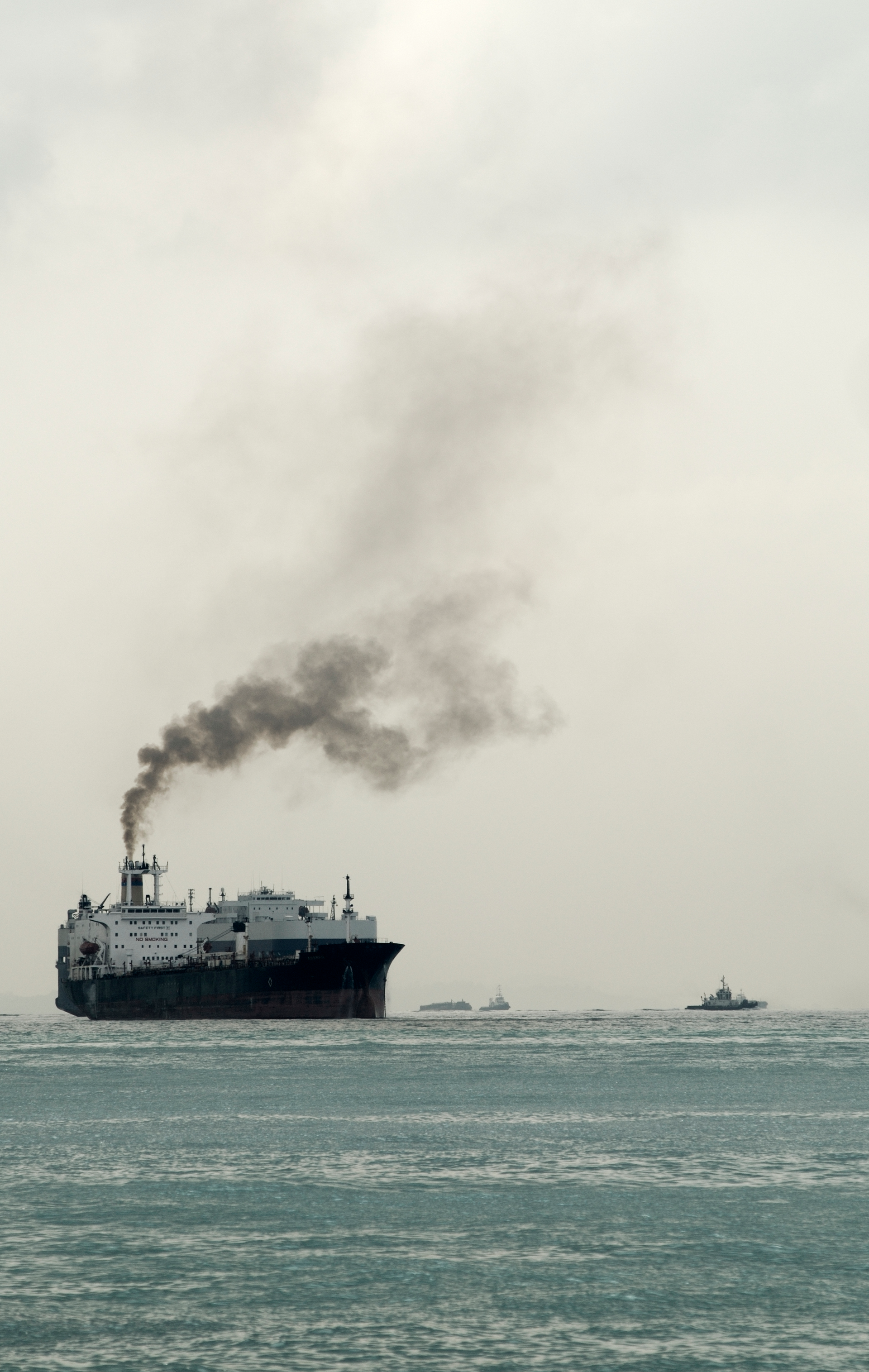 Shipping Industry Group Aims For Net-Zero Emissions By 2050 ...