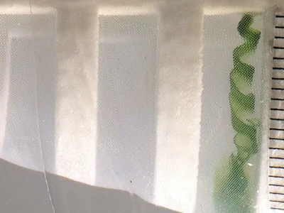 Green dye helps visualize the vortices generated in model paddlefish and basking shark mouths.