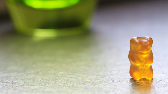 A golden bear stands alone.