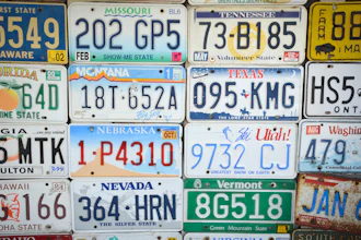 License Plate