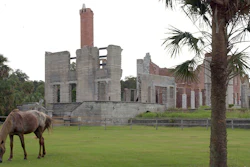 A wild horse grazes next to the ruins of the Dungeness mansion on Cumberland Island, Camden County, Georgia, Sept. 20, 2008.