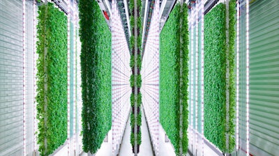 This undated photo provided by Walmart via Plenty, shows the Plenty Farms South San Francisco grow room.