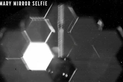 A “selfie” created using a specialized pupil imaging lens inside the NIRCam instrument.