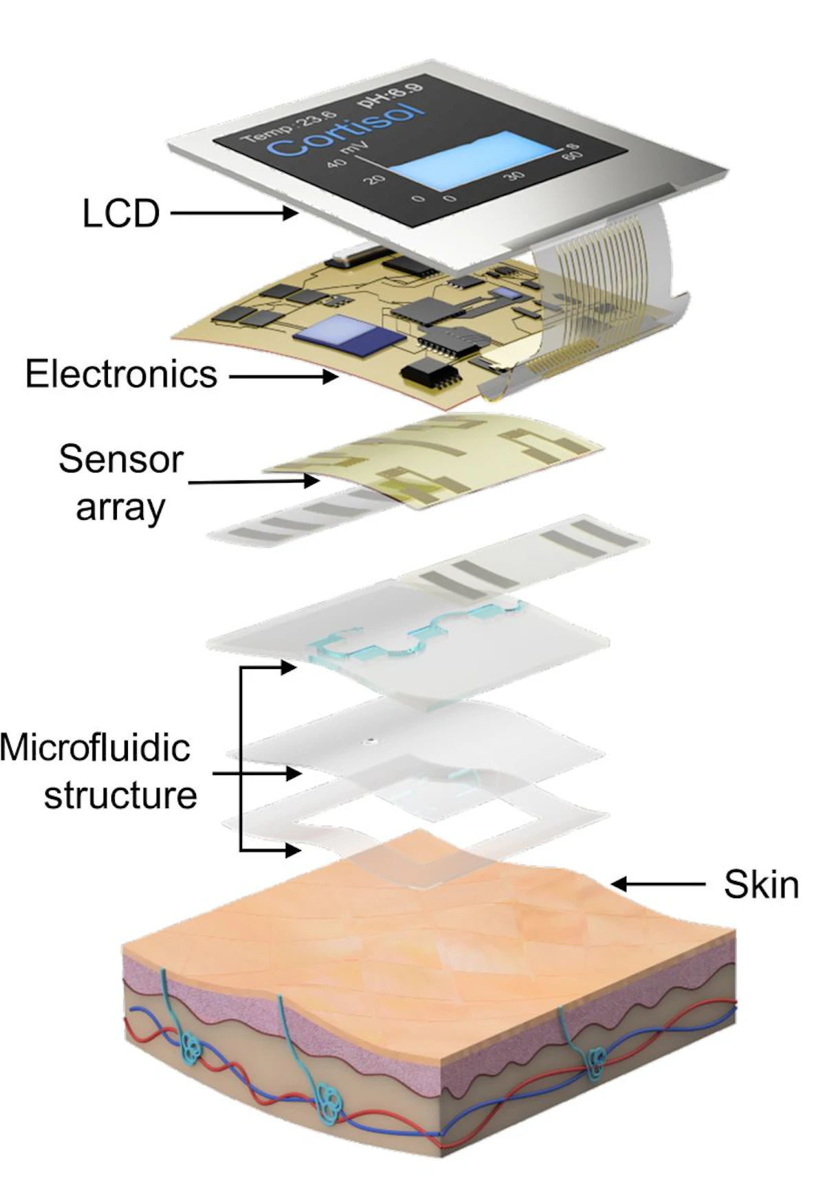 Smartwatch Prototype Measures Key Stress Hormone | Industrial Equipment News