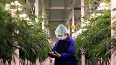 MJBiz said the growth in U.S. retail cannabis sales this year will be sparked by new recreational markets like New Jersey.