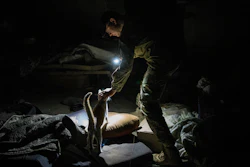 Ukrainian serviceman Anton pets a cat in a basement previously used by Russian soldiers as a temporary base in the village of Malaya Rohan, Kharkiv region, east Ukraine, Monday, May 16, 2022.