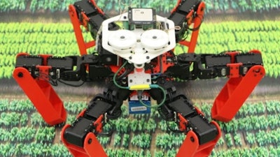 A walking robot that uses sky polarization for navigation.