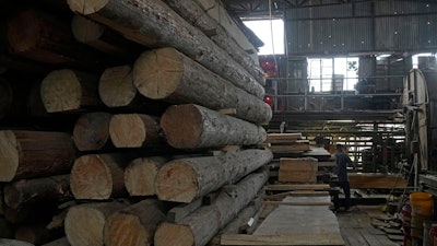 A worker cuts the wood in the Chi Kee Sawmill & Timber in Hong Kong, Tuesday, July 12, 2022.