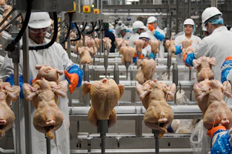 Workers process chickens at a poultry plant in Fremont, Neb., Dec. 12, 2019. The federal government on Monday, Aug. 1, 2022, announced proposed new regulations that would force food processors to reduce the amount of salmonella bacteria found in some raw chicken products or risk being shut down.