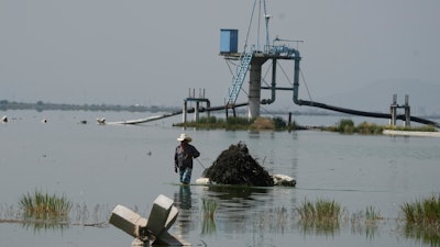 Juan Hernandez drags a styrofoam raft with with pine needles loaded with Ahuautle, the eggs eggs of the axayacatl, a type of water bug, in Lake Texcoco, near Mexico City, Tuesday, Sept. 20, 2022.