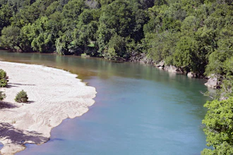 The Illinois River as seen from Goat's Bluffat the J.T. Nickel Family Nature and Wildlife Preserve, July 18, 2019.