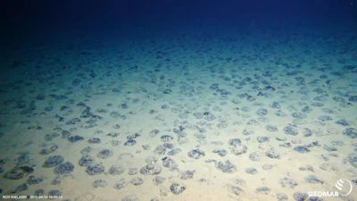 Manganese nodules on the seafloor in the Clarion-Clipperton Zone, between Hawaii and Mexico, captured on camera by a remote vehicle in 2015.