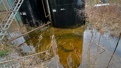 A small alligator swims in the collected water around the dilapidated infrastructure of the B-5 orphan well site in the Atchafalaya National Wildlife Refuge in Lottie, La., Thursday, Feb. 16, 2023.