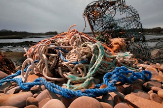 A washed-up lobster trap and tangled lines on a beach in Biddeford, Maine, Nov. 13, 2009.
